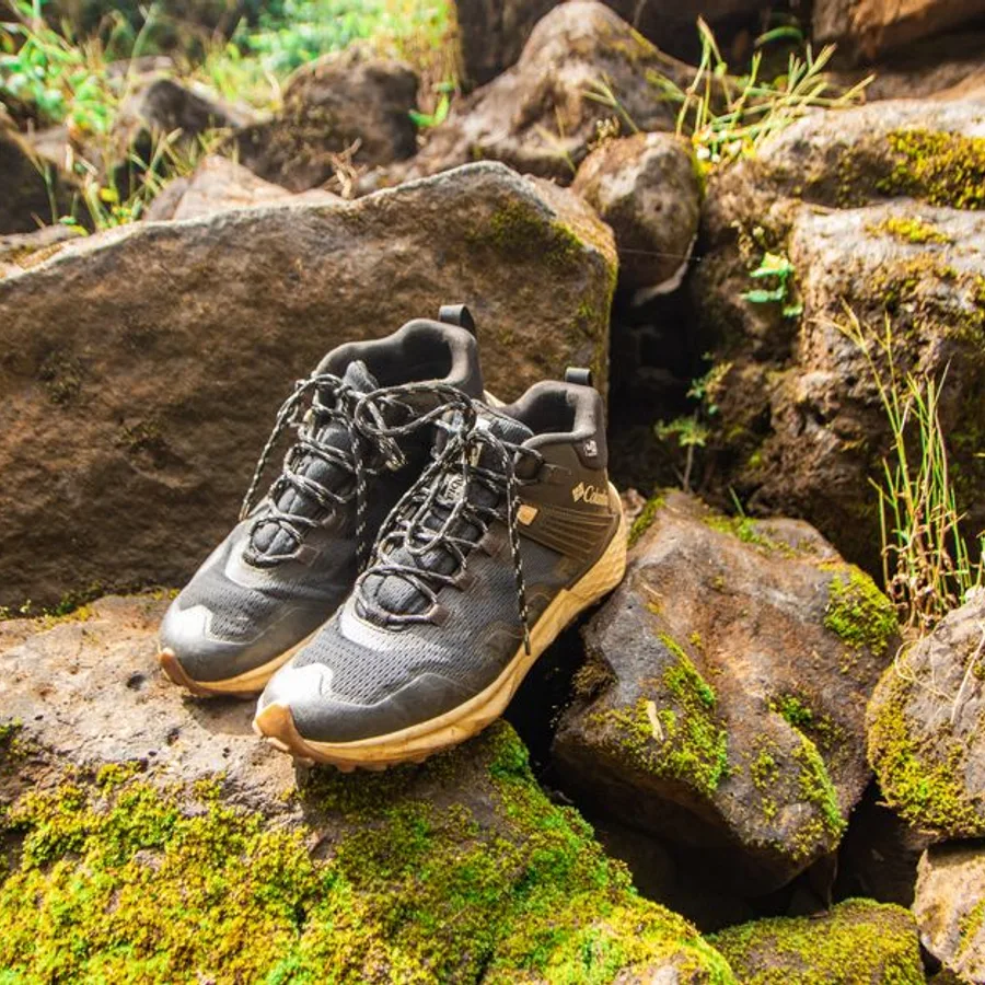 Trekking Bot
