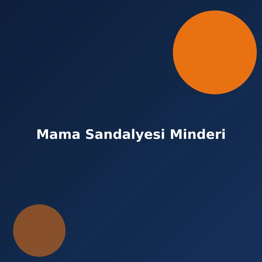 Mama Sandalyesi Minderi